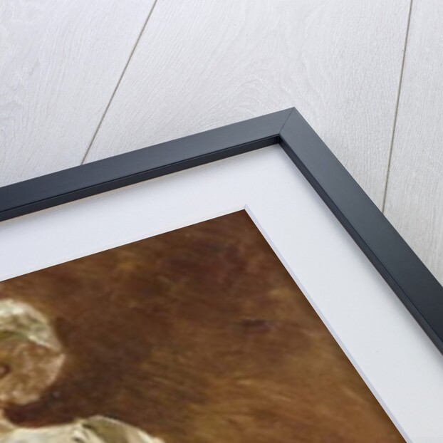 Portrait of a Woman with a Parasol by Edouard Francois Zier