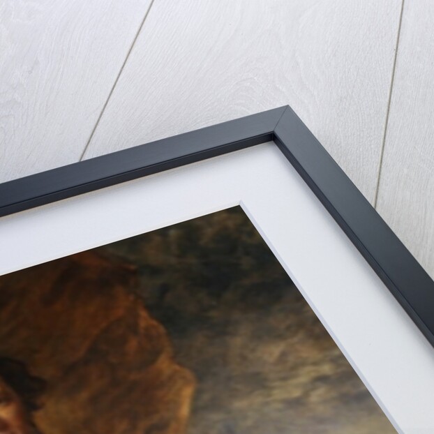 Sir James Brooke, 1847 by Francis Grant