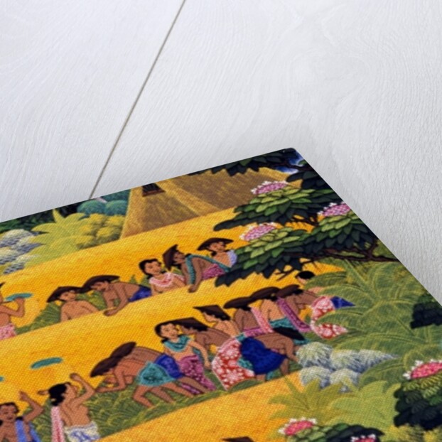 Rice Harvest, Bali by Anonymous