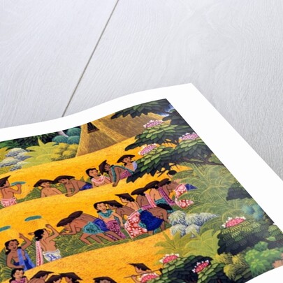 Rice Harvest, Bali by Anonymous