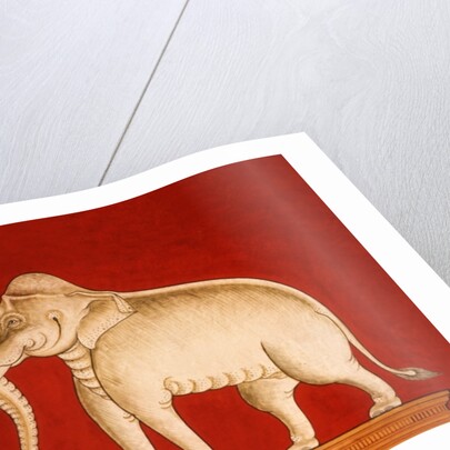 White elephant, page from a manuscript on elephant training by School Thai