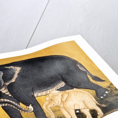 Elephant and calf by School Thai