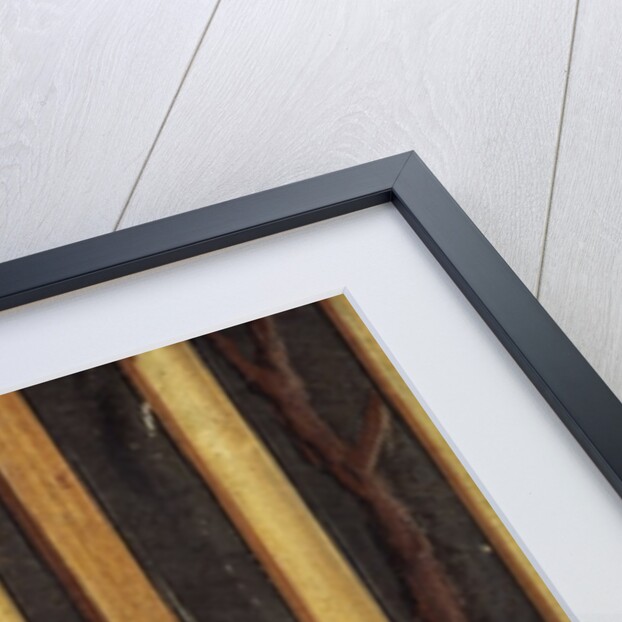 Portrait of Rama VI viewing an eclipse of the sun in 1868 by Thai School