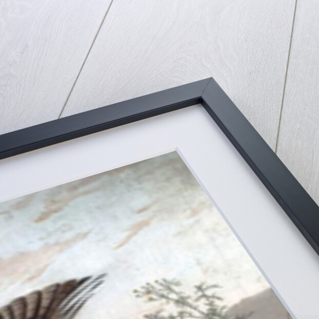 Hawks Attacking Partridges, 1826 by John James Audubon