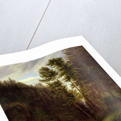 Clearing in the Uttenwald Region, 1820 by Carl Wilhelm Goetzloff