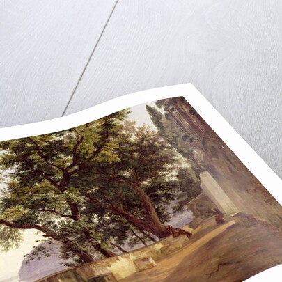 Garden of the Capuchin Friars, near Sorrento, 1827 by Carl Wilhelm Goetzloff