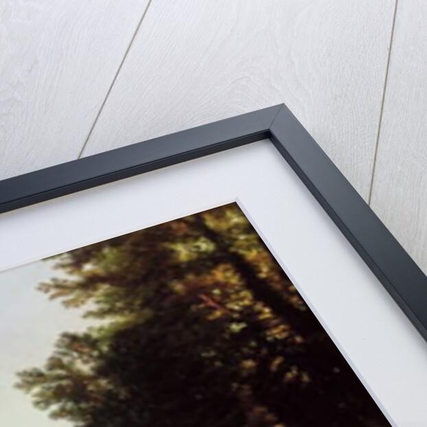 Villa Pignatella, Riviera di Chiaia, Naples, c.1845 by Carl Wilhelm Goetzloff