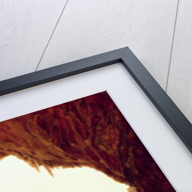 View from a Grotto over the Amalfi Coast, c.1842 by Carl Wilhelm Goetzloff