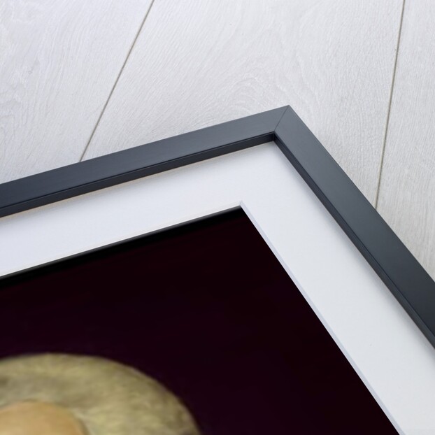 Luigi Galvani with frog specimen by Italian School