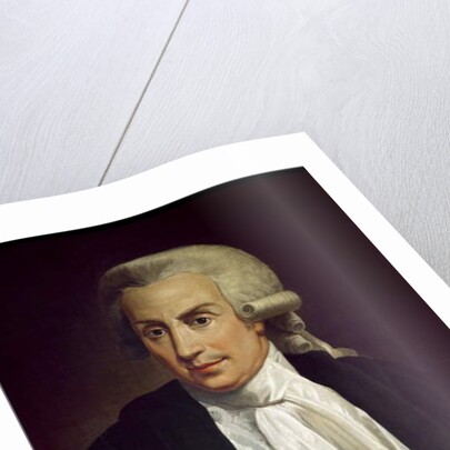 Luigi Galvani with frog specimen by Italian School