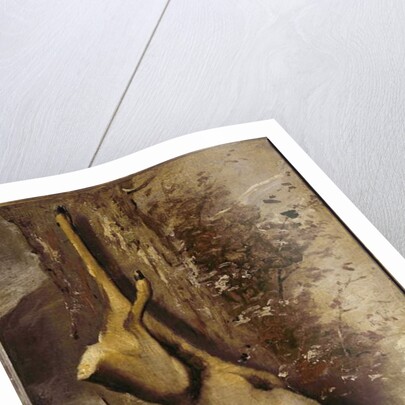 The deer, 1876 by Gustave Courbet