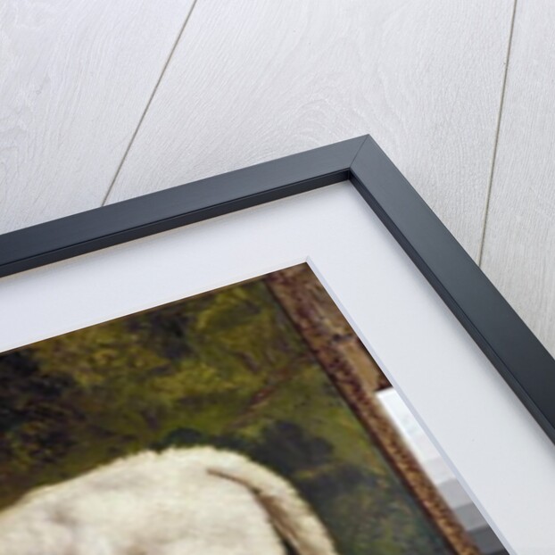 The calf by Gustave Courbet