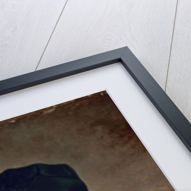 Portrait of Eleonor Regis Courbet by Gustave Courbet