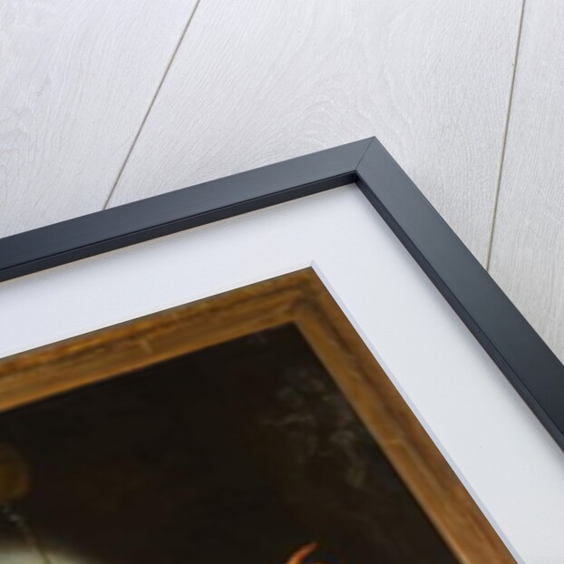 The Miracle of Didacus of Alcalá, 1625 by Italian School