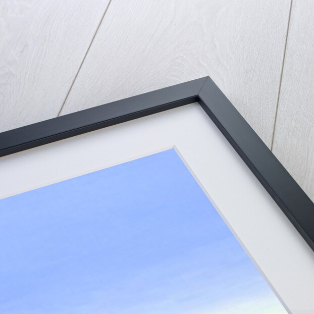 Topiary Wave by Larry Smart