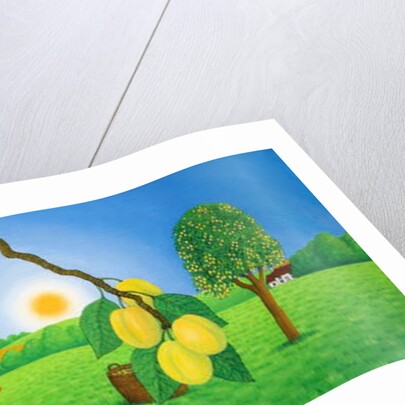 Hereford Golden Plums, 1991 by Larry Smart