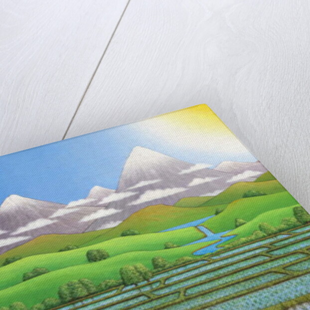 Japan Rice Paddy Field, 1997 by Larry Smart