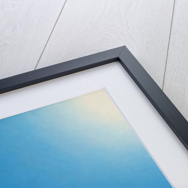 Swiss Muesli, 1996 by Larry Smart