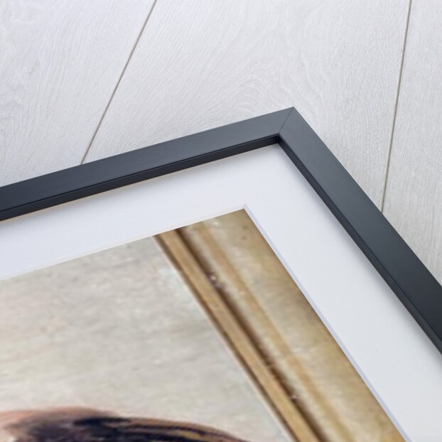 A Cassowary Holding a Snake in Its Beak by Giandomenico (1727-1804) Tiepolo