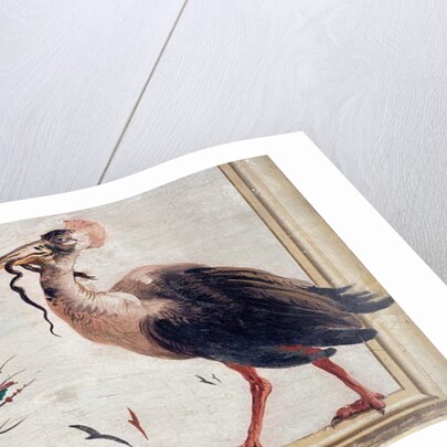 A Cassowary Holding a Snake in Its Beak by Giandomenico (1727-1804) Tiepolo