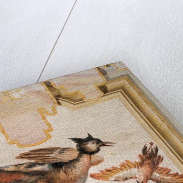 A Pair of Exotic Birds by Giandomenico (1727-1804) Tiepolo