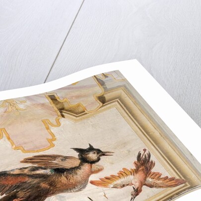A Pair of Exotic Birds by Giandomenico (1727-1804) Tiepolo