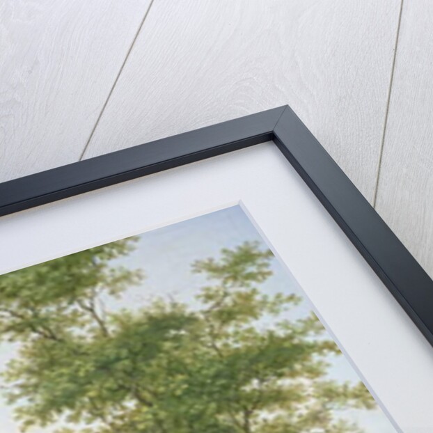 View of the Zylpoort, Harlem, 1780 by Isaak Ouwater