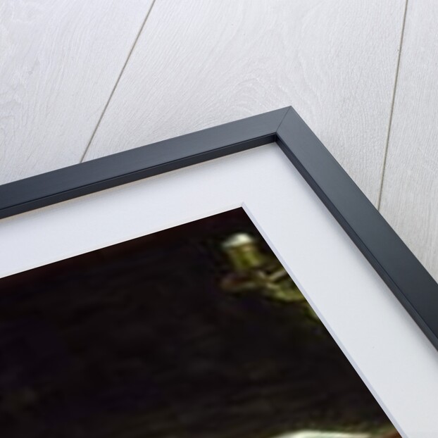 Panel over a door depicting A Lady's Treasures, by Max Thedy