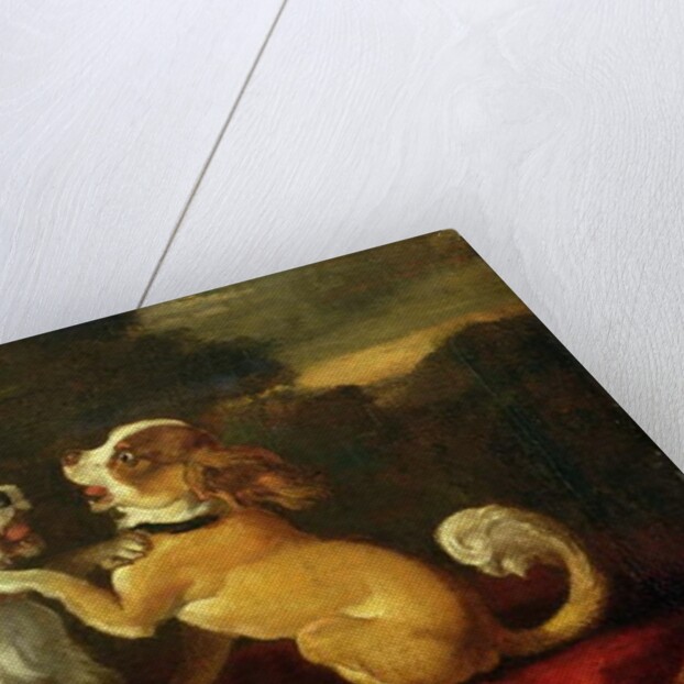 Dogs at Play by European School