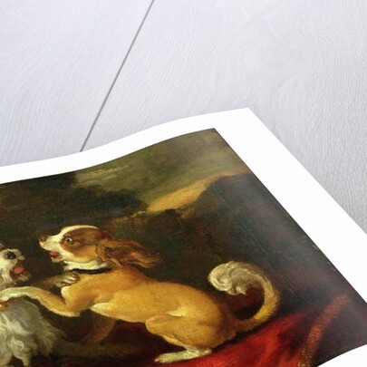 Dogs at Play by European School