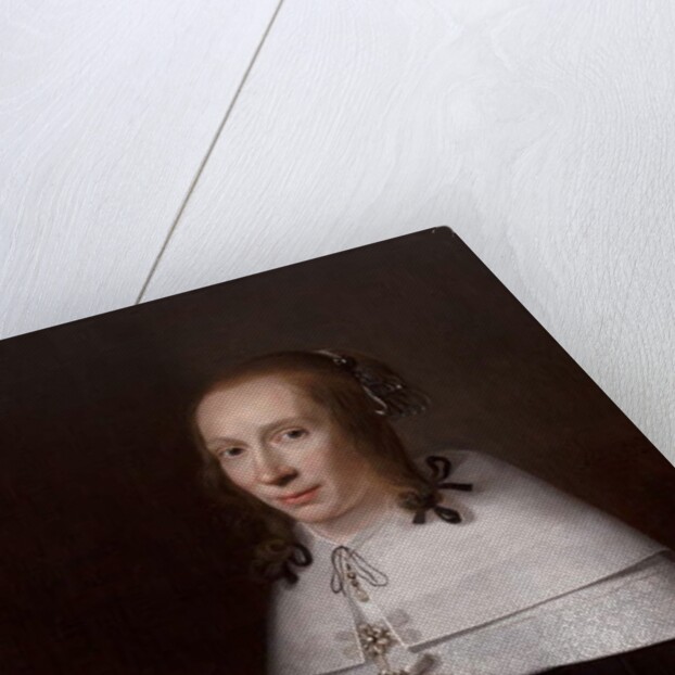 Portrait of a Young Woman, 1654 by Jacob Willemsz Delff