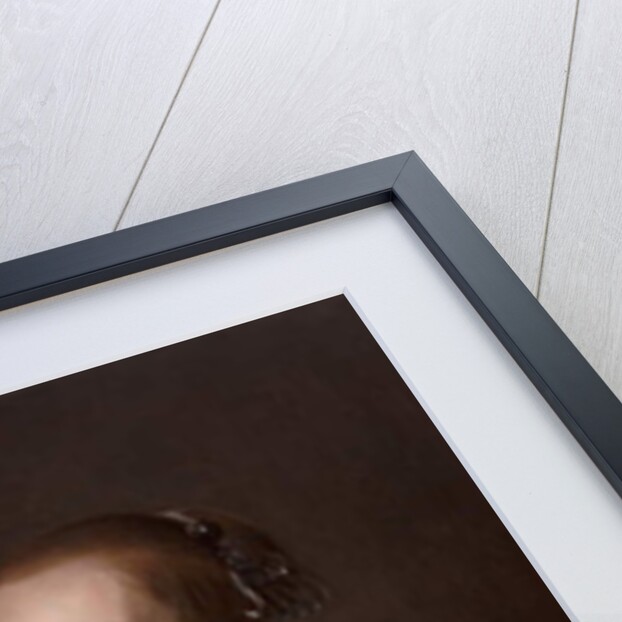 Portrait of a Young Woman, 1654 by Jacob Willemsz Delff