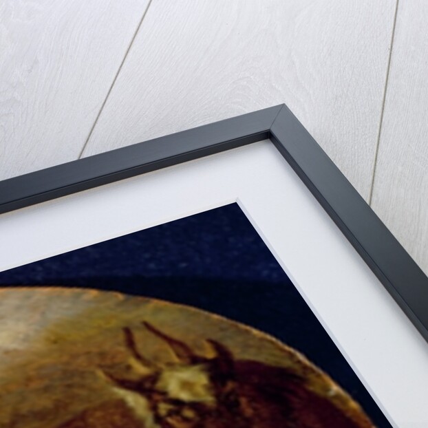 A Baby Lamb with a Kid and a Goat by Barent Graat