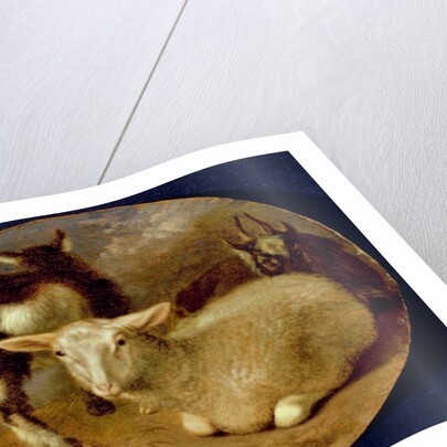 A Baby Lamb with a Kid and a Goat by Barent Graat