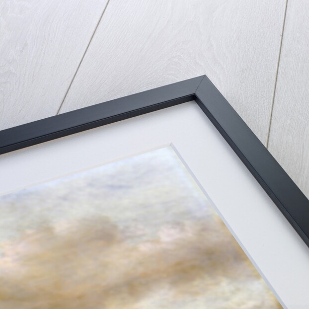 A Winter Landscape with Numerous Figures on a Frozen River Outside the Town Walls by Claes Molenaer