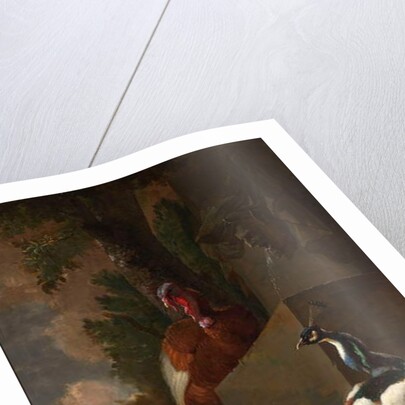 A Peacock, Turkey, and Chicken with her Chicks beside a Classical Fountain in a Landscape by Abraham Bisschop