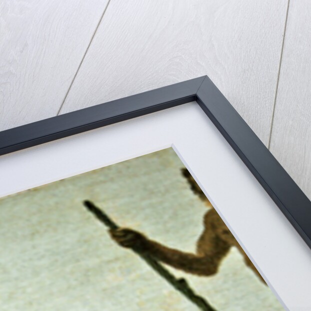 A horse and ostrich and a wildcat and wild man by Roelandt Jacobsz (follower of) Savery