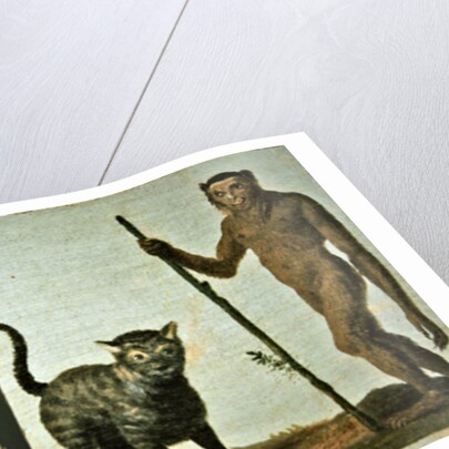 A horse and ostrich and a wildcat and wild man by Roelandt Jacobsz (follower of) Savery