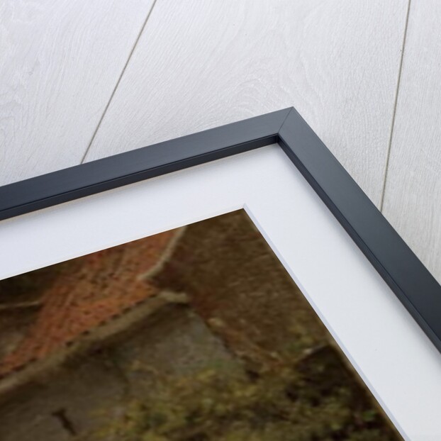 Feeding the Ducks by Bernardus Johannes Blommers or Bloomers