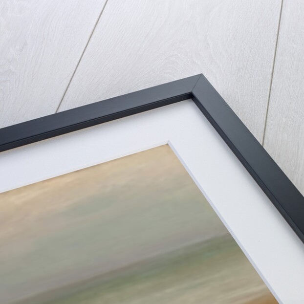 The Shell-Gatherers by Edith Hume