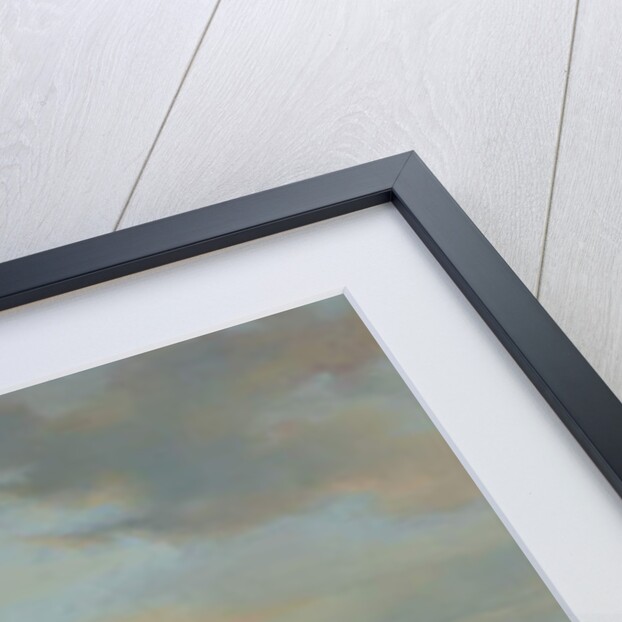 Skaters on a Frozen Waterway by Nicholas Jan Roosenboom