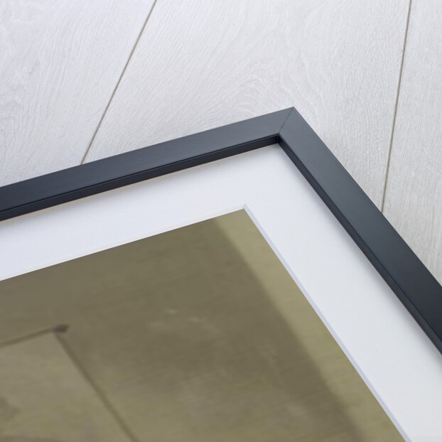 Indulgence in Worldly Pleasures, 17th century by Jacob Fransz van der Merck