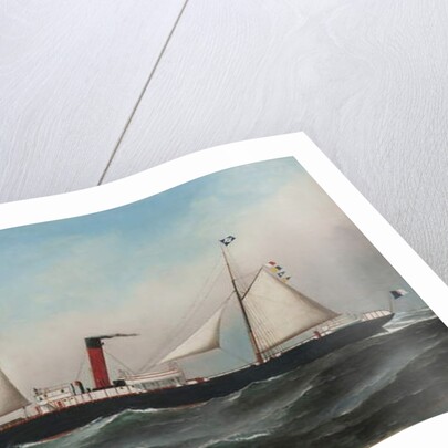 The S.S. Oevenum at sea , 1891 by Antonio Jacobsen