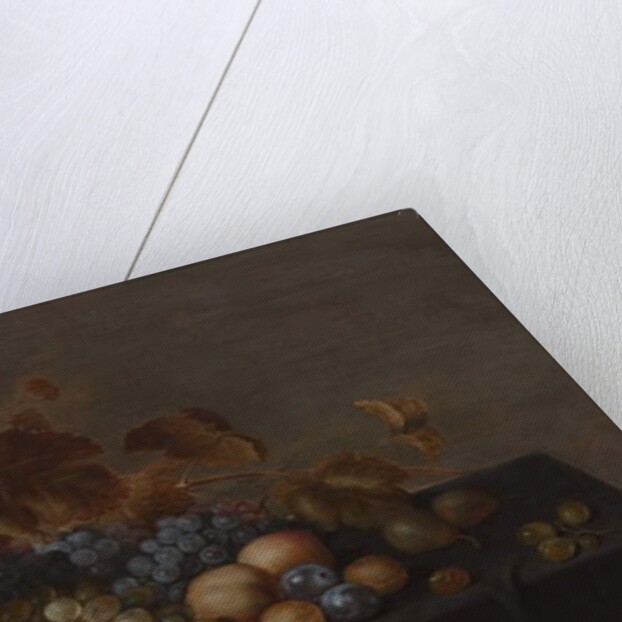 Still Life of Fruit on a Table Draped with a Dark Cloth: Plums, Apples, Bunches of Black and White Grapes and Pears by Floris van Schooten