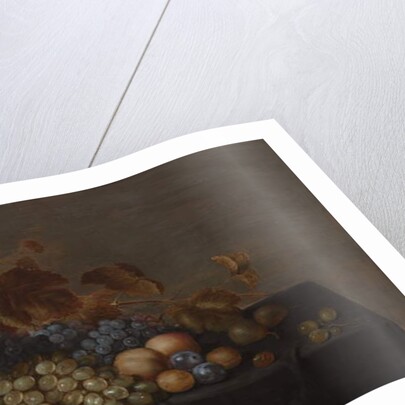 Still Life of Fruit on a Table Draped with a Dark Cloth: Plums, Apples, Bunches of Black and White Grapes and Pears by Floris van Schooten