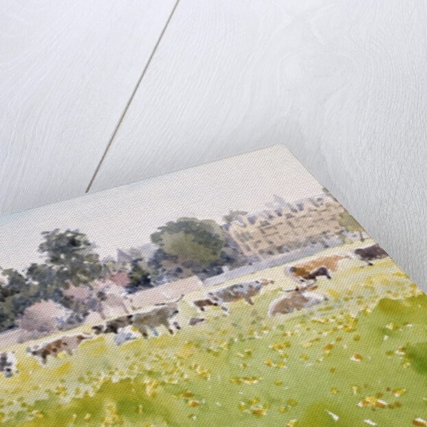 Looking Across Christ Church Meadows, 1989 by Lucy Willis