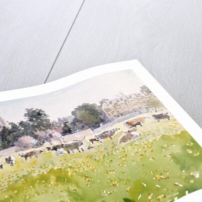 Looking Across Christ Church Meadows, 1989 by Lucy Willis