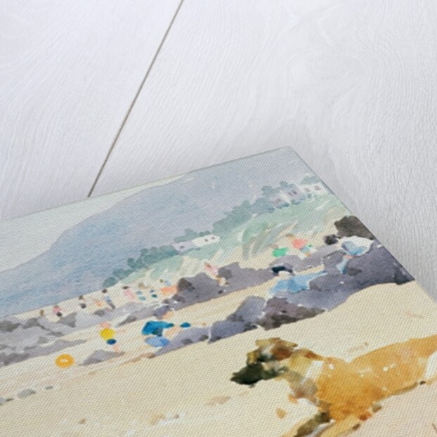 Dog on the Beach, Woolacombe, 1987 by Lucy Willis