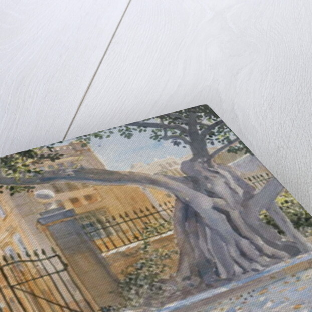 The Ancient Tree, 2011 by Lucy Willis