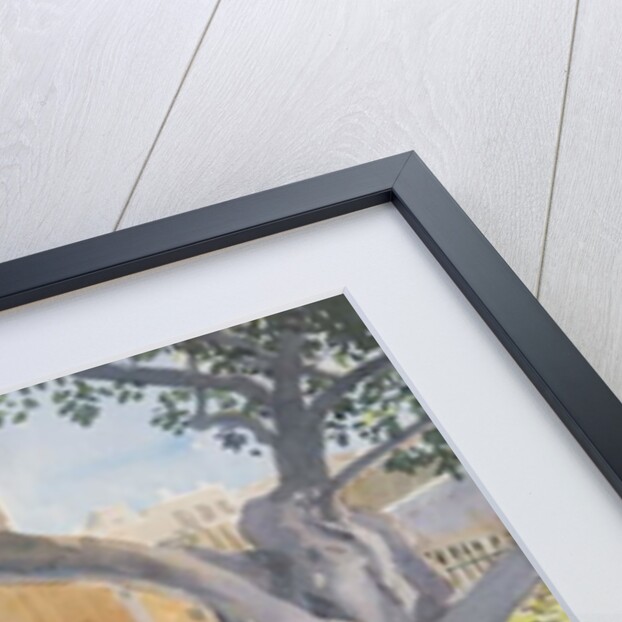 The Ancient Tree, 2011 by Lucy Willis